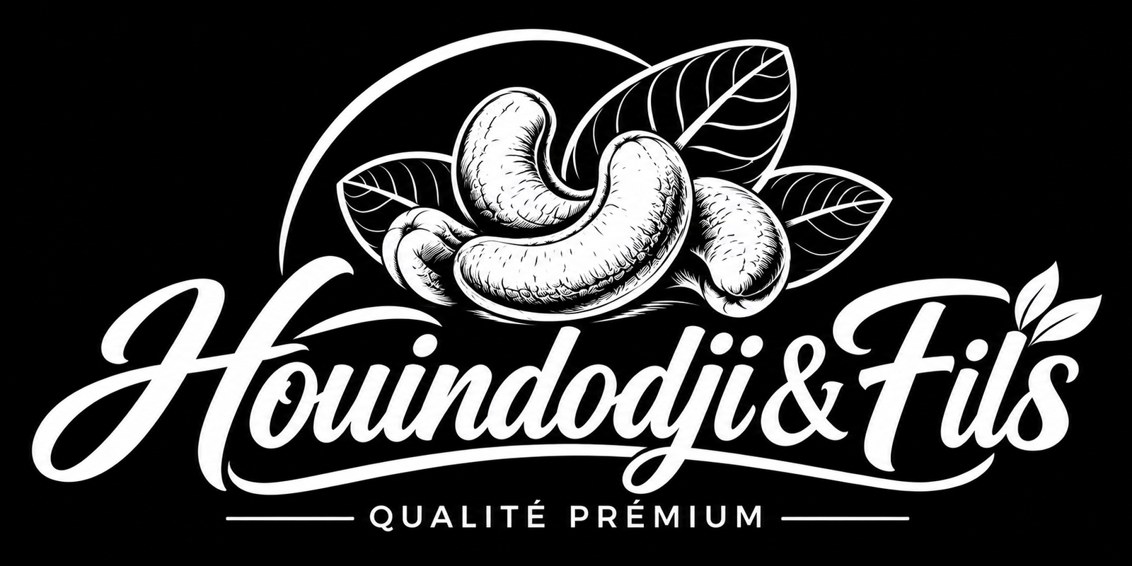 logo premium de noix de cajou calligraphique 2
